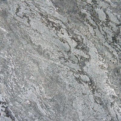 Ostrich Grey 16 in. x 16 in. Honed Quartzite Floor and Wall Tile (8.9 sq. ft. / case)