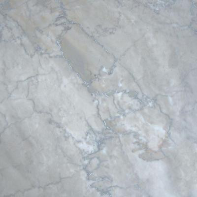 Temple Grey 12 in. x 12 in. Polished Marble Floor and Wall Tile (5 sq. ft. / case)-DISCONTINUED