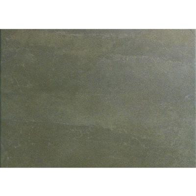 Avila 24 in. x 12 in. Alga Porcelain Floor and Wall Tile (14.25 sq.ft. /case)-DISCONTINUED