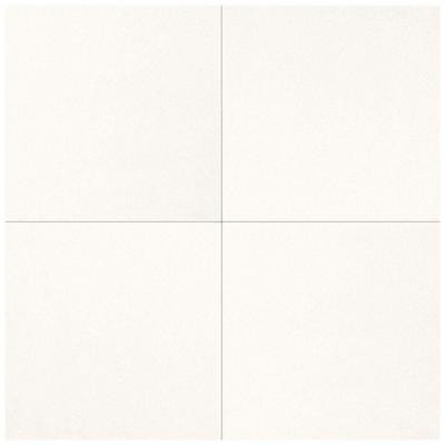 Natural Stone Collection Thassos White 12 in. x 12 in. Marble Floor and Wall Tile (10 sq. ft. / case)