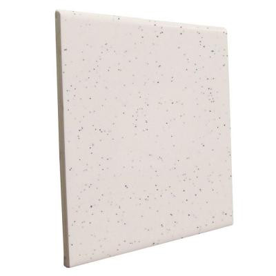 Bright Granite 6 in. x 6 in. Ceramic Surface Bullnose Wall Tile-DISCONTINUED