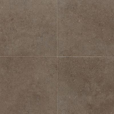 City View Neighborhood Park 18 in. x 18 in. Porcelain Floor and Wall Tile (10.9 sq. ft. / case)