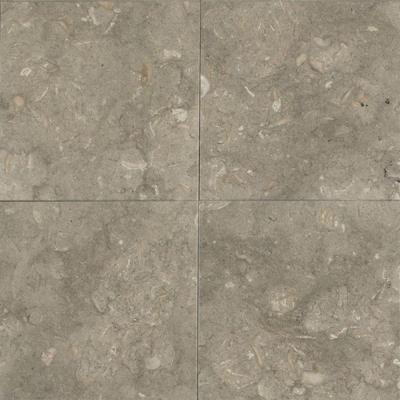 Caspian Shellstone 12 in. x 12 in. Polished Natural Stone Floor and Wall Tile (10 sq. ft. / case)