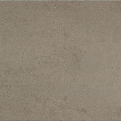 Orion 24 in. x 24 in. Alga Porcelain Floor and Wall Tile-DISCONTINUED
