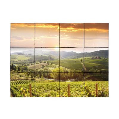 Vineyard5 24 in. x 18 in. Tumbled Marble Tiles (3 sq. ft. /case)