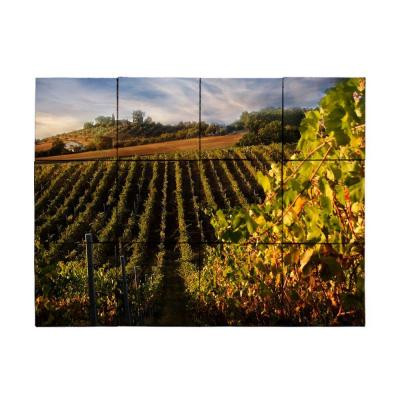Vineyard3 18 in. x 24 in. Tumbled Marble Tiles (3 sq. ft. /case)
