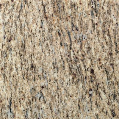 Santa Cecilia 12 in. x 12 in. Natural Stone Floor and Wall Tile (10 sq. ft. / case)