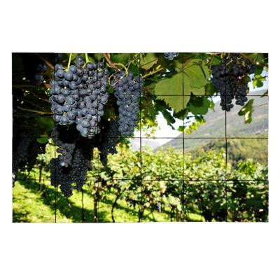 Vineyard4 36 in. x 24 in. Tumbled Marble Tiles (6 sq. ft. /case)