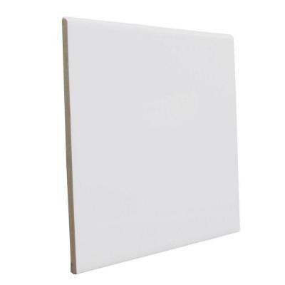 Bright Tender Gray 6 in. x 6 in. Ceramic Surface Bullnose Wall Tile-DISCONTINUED