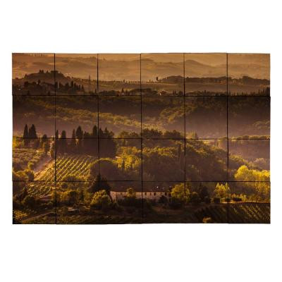 Vineyard1 36 in. x 24 in. Tumbled Marble Tiles (6 sq. ft. /case)