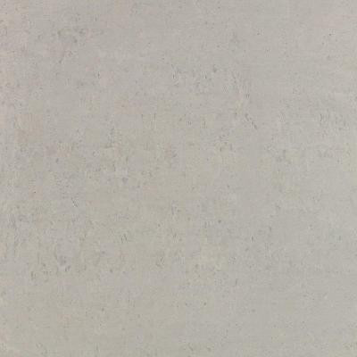 Orion 24 in. x 24 in. Gris Polished Porcelain Floor and Wall Tile-DISCONTINUED