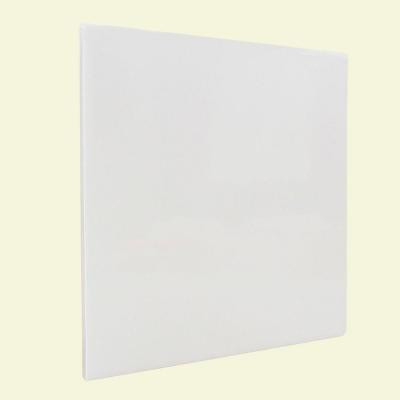 Bright White Ice 6 in. x 6 in. Ceramic Surface Bullnose Corner Wall Tile-DISCONTINUED