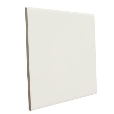 Matte Bone 6 in. x 6 in. Ceramic Surface Bullnose Wall Tile-DISCONTINUED