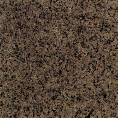 Tropical Brown 12 in. x 12 in. Natural Stone Floor and Wall Tile (10 sq. ft. / case) - DISCONTINUED