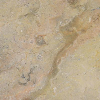 Sahara Gold 12 in. x 12 in. Polished Marble Floor and Wall Tile (10 sq. ft. / case)