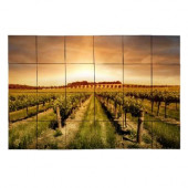 Vineyard2 36 in. x 24 in. Tumbled Marble Tiles (6 sq. ft. /case)