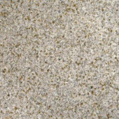 Gold Rush 18 in. x 18 in. Polished Granite Floor and Wall Tile (11.25 sq. ft. / case)
