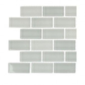 Cool White Polished 3/4 in. x 1-3/4 in. Glass Tile Sample