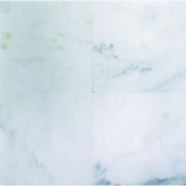 Greecian White 6 in. x 6 in. Polished Marble Floor and Wall Tile (1 sq. ft./case)
