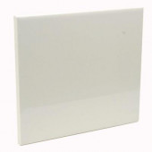 Color Collection Bright Bone 6 in. x 6 in. Ceramic Wall Tile (12.5 sq. ft. / case)