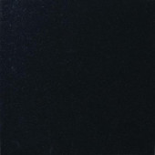 Absolute Black 12 in. x 12 in. Polished Granite Floor and Wall Tile (10 sq. ft. / case)