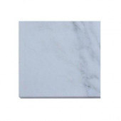 Oriental Marble Floor and Wall Tile - 6 in. x 6 in. x 8 mm Floor and Wall Tile Sample