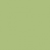 Color Collection Matte Spring Green 6 in. x 6 in. Ceramic Wall Tile (12.5 sq. ft. / case)-DISCONTINUED