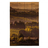 Vineyard1 24 in. x 36 in. Tumbled Marble Tiles (6 sq. ft. /case)