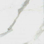 Calacatta Gold 12 in. x 12 in. Polished Marble Floor and Wall Tile (10 sq. ft. / case)