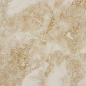 Cappuccino 12 in. x 12 in. Polished Marble Floor and Wall Tile (10 sq. ft. / case)