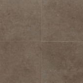 City View Neighborhood Park 24 in. x 24 in. Porcelain Floor and Wall Tile (11.62 sq. ft. / case)