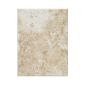 Fidenza Bianco 9 in. x 12 in. Ceramic Floor and Wall Tile (11.25 sq. ft. / case)