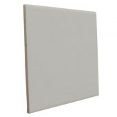 Matte Taupe 6 in. x 6 in. Ceramic Surface Bullnose Wall Tile-DISCONTINUED