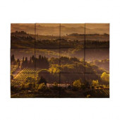 Vineyard1 18 in. x 24 in. Tumbled Marble Tiles (3 sq. ft. /case)