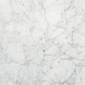 Natural Stone Collection Carrara Gioia 12 in. x 12 in. Polished Marble Floor and Wall Tile (10 sq. ft. / case)