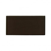 Contempo Mahogany Polished Glass Tile Sample-DISCONTINUED