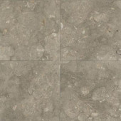 Caspian Shellstone 12 in. x 12 in. Natural Stone Floor and Wall Tile (10 sq. ft. / case)-DISCONTINUED