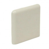 Color Collection Matte Bone 2 in. x 2 in. Ceramic Surface Bullnose Corner Wall Tile-DISCONTINUED