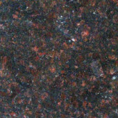 Victorian Brown 18 in. x 18 in. Polished Granite Floor and Wall Tile (9 sq. ft. / case)
