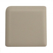 Modern Dimensions Matte Biscuit 2-1/8 in. x 2-1/8 in. Ceramic Surface Bullnose Corner Wall Tile-DISCONTINUED