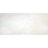 Greecian White 12 in. x 24 in. Polished Marble Floor and Wall Tile (10 sq. ft. / case)