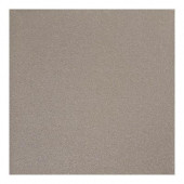 Quarry Tempest 6 in. x 6 in. Abrasive Ceramic Floor and Wall Tile (11 sq. ft. / case)-DISCONTINUED