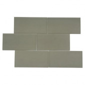 Contempo 3 in. x 6 in. Natural White Frosted Glass Tile-DISCONTINUED