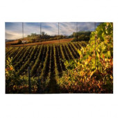 Vineyard3 36 in. x 24 in. Tumbled Marble Tiles (6 sq. ft. /case)