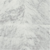Natural Stone Collection Carrara White 12 in. x 12 in. Polished Marble Floor and Wall Tile (10 sq. ft. / case)