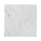 Carrara 6 in. x 6 in. Honed Marble Floor/Wall Tile (4 pieces/1 sq. ft./1pack)