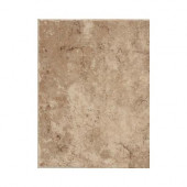 Fidenza Cafe 9 in. x 12 in. Ceramic Floor and Wall Tile (11.25 sq. ft. / case)
