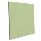 Matte Spring Green 6 in. x 6 in. Ceramic Surface Bullnose Wall Tile-DISCONTINUED