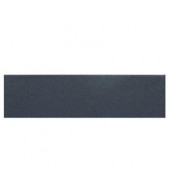 Colour Scheme Galaxy Solid 3 in. x 12 in. Porcelain Bullnose Floor and Wall Tile