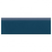 Semi-Gloss 2 in. x 6 in. Galaxy Ceramic Bullnose Wall Tile-DISCONTINUED